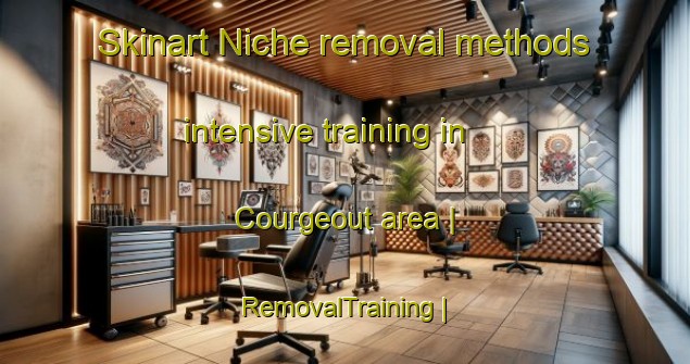 Skinart Niche removal methods intensive training in Courgeout area | RemovalTraining | RemovalClasses | SkinartTraining-France